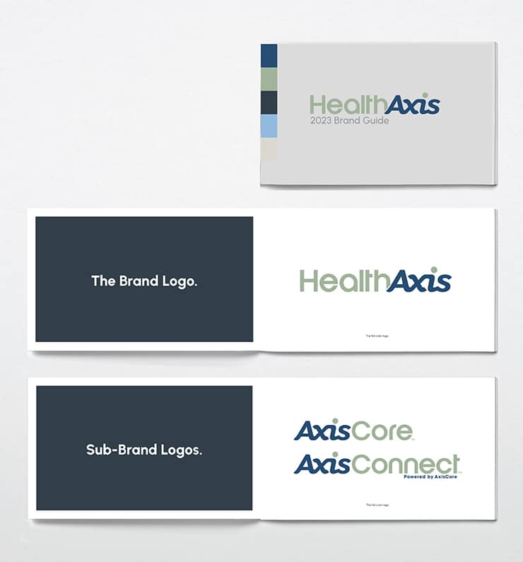 HealthAxis brand and sub-brand logo designs.