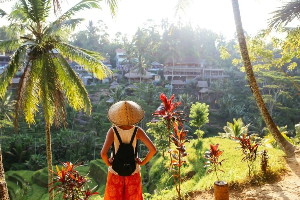 Traveler overlooking tropical rice terraces at sunrise.