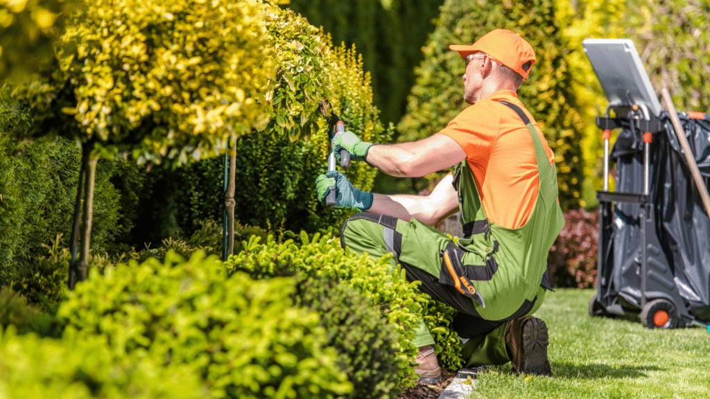 Gardener trimming bushes in a green garden.